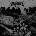 Implore - Depopulation LP