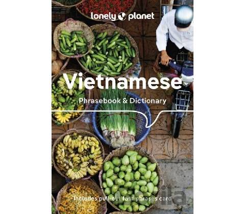 Vietnamese Phrasebook & Dictionary 9