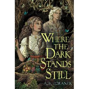 Where the Dark Stands Still (ISBN: 9781665936477)