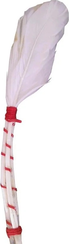 MAŠLOVAČKA