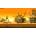 SteamWorld Dig