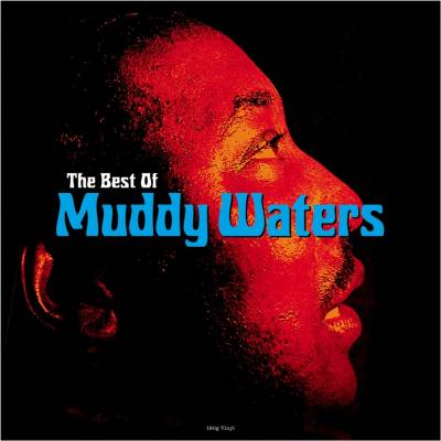WATERS, MUDDY - BEST OF MUDDY WATERS LP