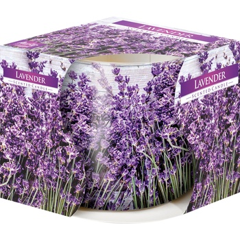 4home Aura lavender 100 g