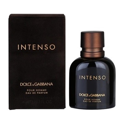 Dolce & Gabbana Intenso parfémovaná voda pánská 40 ml