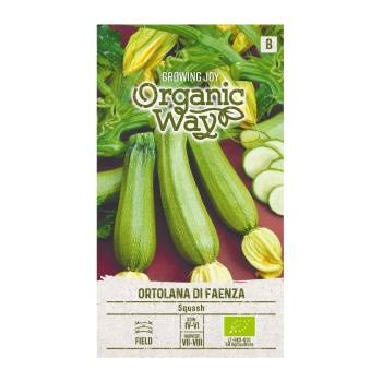 Seklos Органик Тиквичка Ортолана Ди Фаенца Ortolana di Faenza