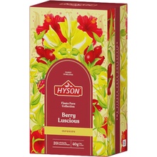 Hyson bylinný Rooibos čaj Berry Luscious 20 ks