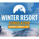 Winter Resort Simulator