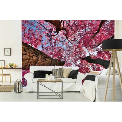 DIMEX ART Самозалепваща се флизелинова фототапета черешова фантазия 375 x 250 см