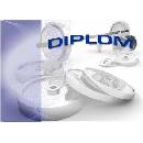 diplom 87