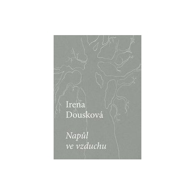 Napůl ve vzduchu - Irena Dousková