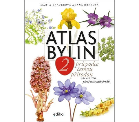 Atlas bylin 2