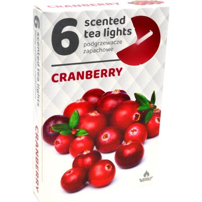 Admit Tea Lights Cranberry 6 ks