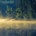 Plenitude - Oneirogen LP