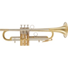 VanLaar Oiram light II Raw Brass