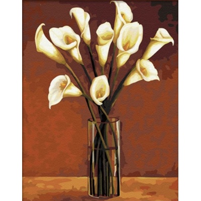 Gaira Malování podle čísel Kaly