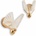 Toolight OSW-50042