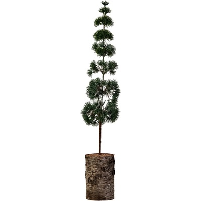 House Doctor Umelý stromček Pine Green 80 cm