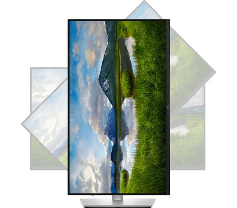 Dell P2425D
