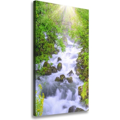 Vertikálny foto obraz canvas Horský potok 50x100 cm