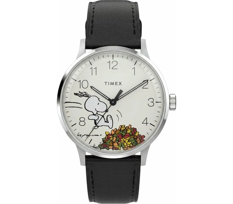 Timex TW2Y85600