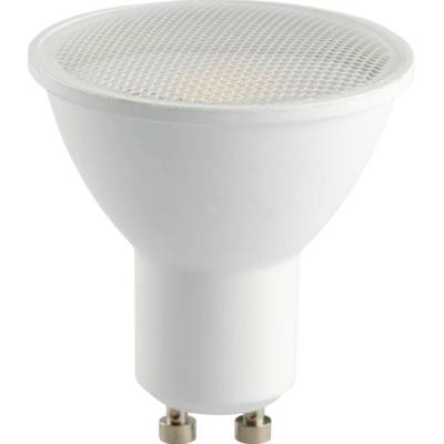 TK Lighting 3138