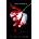 New Moon - Stephenie Meyer