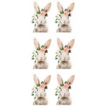 TITANUM Paper stickers for 6pcs