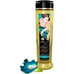 Shunga - shunga oils Shunga erotic massage oil sensual 240ml