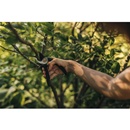 Image 1 of Fiskars Solid P321 1057162