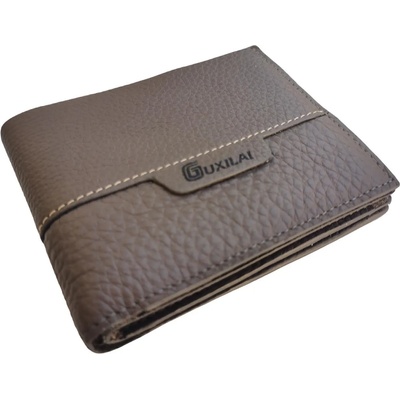 Wallet-bg india Wallet gray man