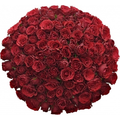 Kytice 100 rudých růží UPPER CLASS 50cm – Zboží Dáma