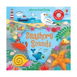 Seashore Sounds | Federica Iossa (ISBN: 9781805074663)