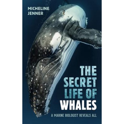 The Secret Life of Whales Jenner Micheline