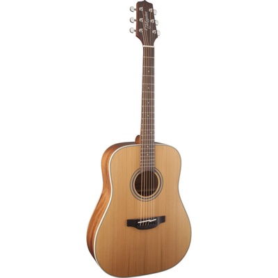 Takamine GD20-NS