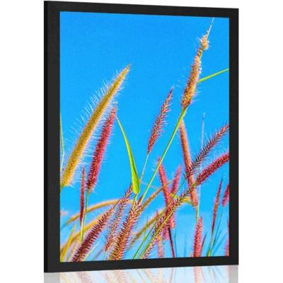 Plakát divoká tráva pod modrou oblohou - 30x45 white
