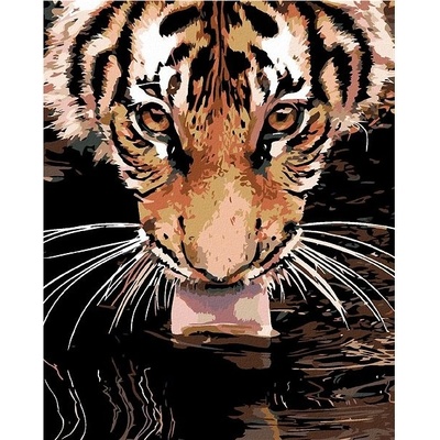 zuty Malování podle čísel Tygr u vody 80 x 100 cm vypnuté plátno na rám
