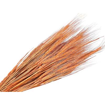 Sušené klasy ražné 150g - marhuľové