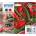 Epson Мастилена касета, EPSON, Tinte T09R94010 503XL Multipack 4er-Pack, Черен (C13T09R94010)