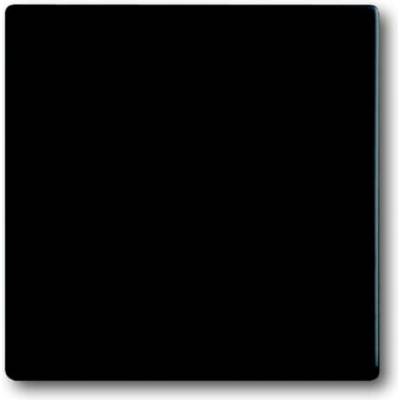Busch-Jaeger 2CKA001751A3041