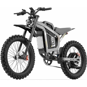 Coswheel R19