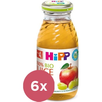 HIPP BIO Jablkovo-hroznová šťava 6 x 200 ml