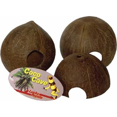Lucky Reptile Coco Cave celá skořápka 10-14 cm – Zboží Dáma