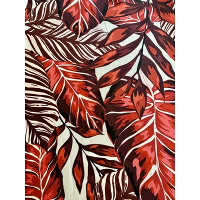 Monstera červená