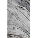 DIMEX ART Флизелинов фототапет структура на дървото 150 x 250 см
