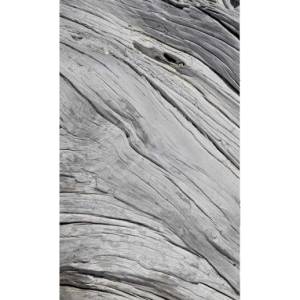 DIMEX ART Флизелинов фототапет структура на дървото 150 x 250 см
