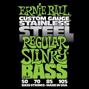 Ernie Ball 2842