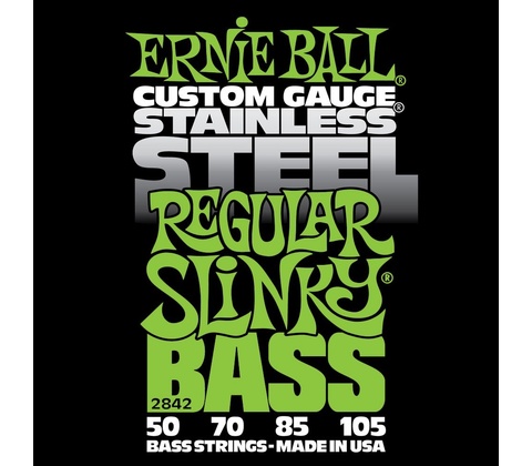 Ernie Ball 2842