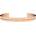 Daniel wellington dw00400140 (dw00400140)