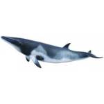 CollectA MINKE WHALE Figure