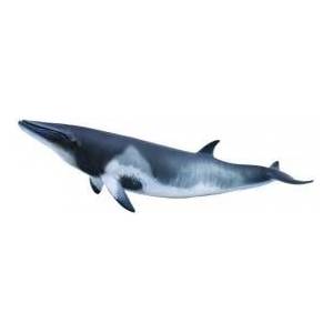 CollectA MINKE WHALE Figure